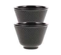 2pcs Cast Iron Tea Cups Retro Style Tea Cups Household Kung Fu Teaware