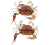 2PCS Cebo de se?uelo de Pesca de Cangrejo Suave de Silicona Cebo de Realista Artificial con Gancho(3#)