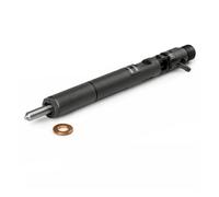 2PCS Compatible With Delphi CRDI -Diesel Fuel Injector EJBR02901D Compatible With Hyundai Terracan KIA Carnival Sedona 2.9 33800-4X800