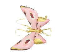 2pcs Fairy Wing Ornament Cosplay Wing Prop Cosplay Wings Butterflies Wing Decoration Fairy Wing for Women Costume Wing Dress for Kids Pink Balloons Ch