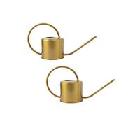 (2pcs)Fashion Gold Nozzle, Small Long Neck Nozzle, Suitable For Home, Indoor, Outdoor, Garden, Succulent Plants