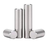 2Pcs M14 x 20-150mm 304 Stainless Steel Cylindrical Dowel Pins Shelf Support Pegs, Metal Shelf Pin Fasten Elements for Position Join Components(M14x110mm)