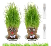 2Pcs Planta De Muñeca con Cabeza De Hierba En Crecimiento, Mini Bonsai en Macetas con Bandeja (M3)