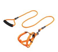 2pcs/Set Correa para Mascotas, Correa para Perros Grande, Mediana y pequeña, Correa para Perros, Correa para Gatos, Collar de arnés para Pecho, Suministros para Mascotas