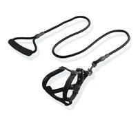 2pcs/Set Correa para Mascotas, Correa para Perros Grande, Mediana y pequeña, Correa para Perros, Correa para Gatos, Collar de arnés para Pecho, Suministros para Mascotas