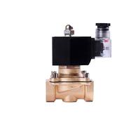 2T Series Normally Closed Brass Solenoid Valve DN10-50 Liquefied Petroleum Gas Natural Gas Switch Water Valves 220V 24V 12V(DN32,NPT_110VAC)