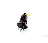2x Amortiguador AGHGH-333060C01 GH