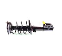 2x Completo Amortiguador Puntal Juego Delantero para Renault Scenic 3 1.9DCI,