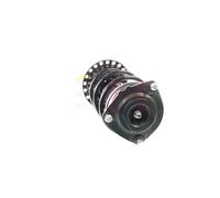 2x Completo Amortiguador Puntal Juego Delantero para Renault Modus 1.4 , 1.5DCI,