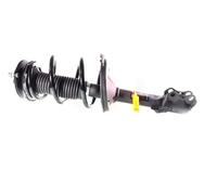 2x Completo Amortiguador Puntal Juego Delantero para Lexus RX300/330/350 Mcu