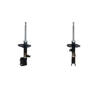 2x Amortiguadores ASHIKA Parte delantera I+D para