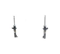 2x Amortiguadores ASHIKA Parte delantera I+D para FORD, MAZDA 2 I, FIESTA V