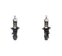 2x Amortiguadores ASHIKA Parte delantera I+D para PIAGGIO PORTER Furgon, PORTER