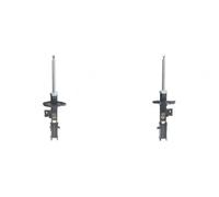 2x Amortiguadores ASHIKA Parte delantera I+D para SUZUKI GRAND VITARA II