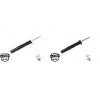 2x Amortiguadores MONROE I+D para BMW 5 E39