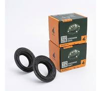 2x Arandela Muelles de Placa Eje Delantero Superior para Captiva, Antara 2006-