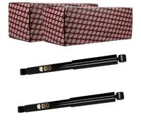 2X ASHIKA Amortiguador Presión Gas Juego Trasero Para VW Amarok Izquierda + Dcha