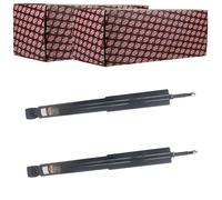 2X ASHIKA AMORTIGUADORES DE GAS JUEGO TRASERO APTOS PARA HYUNDAI TERRACAN