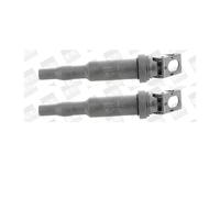 2x Borgwarner ( Beru ) ZS324 Encendido para BMW E46 E90 E91 E92 E93 F31 F30 F80