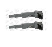 2X BORGWARNER (BERU) ZSE145 Bujía Para BMW E90 E91 E87 E60 E61 E85 E65 E66