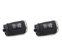 2x Campanas de almohadillas neumáticas Arnott Parte trasera I+D para BMW X3 E53