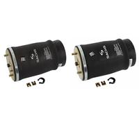 2x Campanas de almohadillas neumáticas SACHS Parte trasera I+D para BMW X3 E53