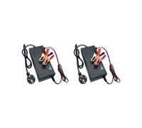 2X Cargador de Batería de Fosfato de Hierro Lifepo4 de 14,6 V y 10 A para Paquete de Batería de Fosfato de Hierro y Litio de 12,8 V y 4S con Enchufe