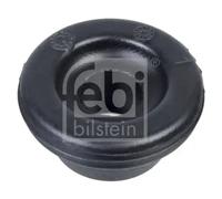 2x Casquillo de la suspensión Eje trasero 106611 FEBI BILSTEIN para HONDA STREAM