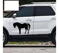 2x China s National Treasure Wildlife E przewalskii clásico caballo silueta arte coche pegatina puerta