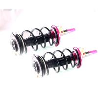 2x Completo Amortiguador Puntal Kit Pro Delant. para Renault Megane II DCI