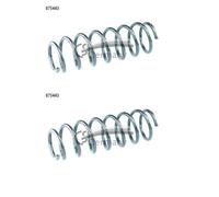 CS Germany 14.875.443 Muelle de suspensión