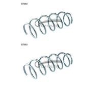 Cs Germany Resorte de suspensión 14.875.883 Muelle helicoidal, eje delantero para Citroën C3 II