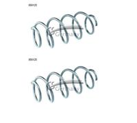 2x Cs Alemania 14.950.125 Resorte Suspensión Delant. para Audi A3 8P1 VW Golf V