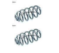 CS Germany 14.950.811 Muelle de suspensión