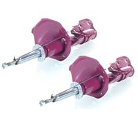 2x de Gas Amortiguador PRO Delantero Derecho+Izquierdo GH+352259H/V