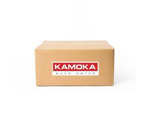 2x Disco de freno Eje trasero macizo 103391 KAMOKA para ASTON MARTIN TOYOTA