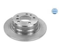 2x Disco de freno Eje trasero macizo 315 523 3007 MEYLE para BMW 7