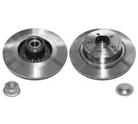 2x Disco de freno macizo R1046PCA LPR para RENAULT CLIO III MEGANE II