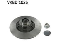 2x Disco de freno macizo VKBD 1025 SKF para RENAULT MEGANE I Coach MEGANE I