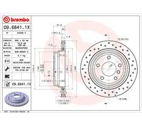 Brembo Disco de freno 09.6841.1X perforado ventilado interior Ø 298 para BMW 5 (E39) ALPINA B10