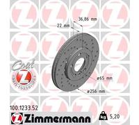 2x Disco de freno ventilación externa 100.1233.52 ZIMMERMANN para SEAT AUDI VW