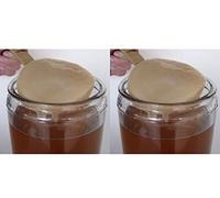 2x Discos SCOBY de Kombucha Frescos y Vivos + Líquido - KEFIRALIA