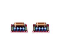 2X Divisor de Frecuencia para Subwoofer Unidireccional de 300 W, Sistema de Cine en Casa, Superwoofer Ajustable, Filtros de Cruce de Audio HiFi.