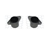 2x GSP Cojintete Soporte Trasero para VW Passat Variant 3B5 1.6 1.8 3B6 2.5Tdi