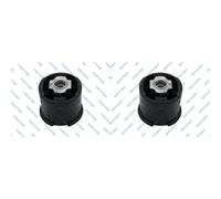 2x GSP Soporte Cuerpo Del Eje Trasero Izquierdo Derecho Para BMW X5 E53