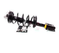 2x Completo Amortiguador Puntal Juego Delantero para Fiat Ducato 244 11Q/15Q