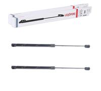 2x LESJÖFORS Muelle Gas Motorhauben-Lifter Apto para BMW X1 Izquierda + Derecho