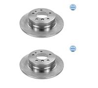 2x Meyle 315 523 3004 Disco Freno Trasero 300MM para BMW E34