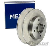 2X MEYLE DISCOS DE FRENO 249Mm TRASEROS APTOS PARA CITROËN C4 PEUGEOT 307