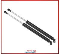 2x Muelle Luz Trasera para BMW 5 E39 Maletero Portón Longitud 345mm 540N Trasero